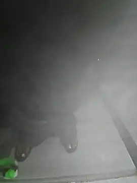 LundBoyram online show from October 28, 7:34 am