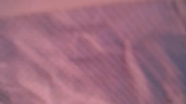 Liz Hu online show from October 10, 4:28 pm