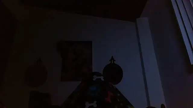 Snapshot of Crystal_Star_ chatting on February 17, 9:17 am Crystal Star online show from February 17, 9:17 am