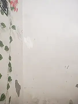 sassyy poonam online show from October 13, 5:13 pm