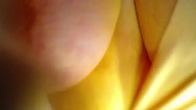 AntonellaRicher online show from September 26, 1:42 am