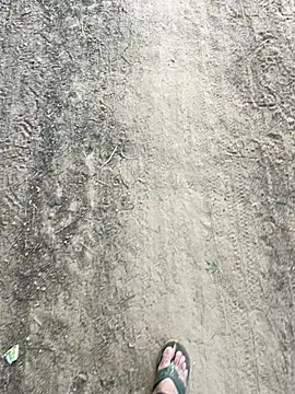 Desiandaj online show from November 26, 2:45 am