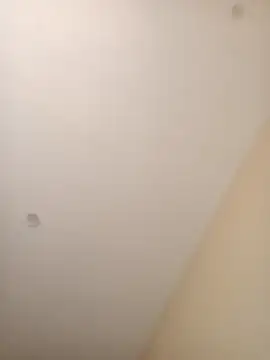 ElBufalo4l online show from November 4, 1:21 pm