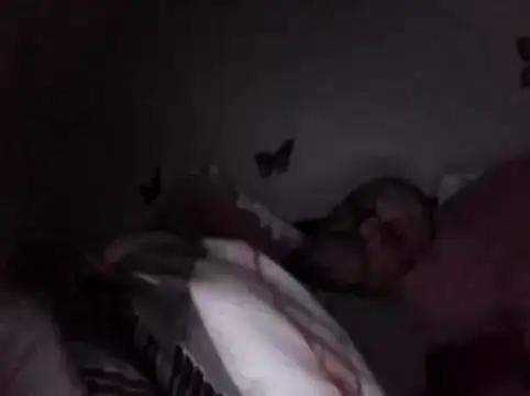 Hisnimin online show from February 18, 3:57 am