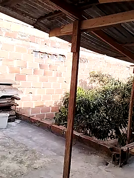 hoteder online show from November 28, 12:52 pm