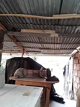 hoteder online show from April 15, 12:12 pm