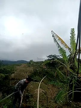 Ruaiuoi online show from February 20, 7:10 am