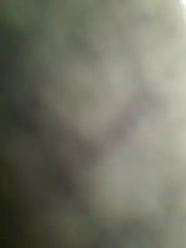 Lizbeth Rouse online show from December 21, 11:50 am