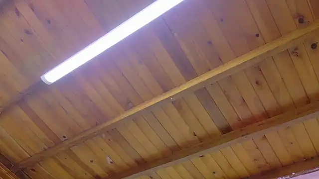 Lizbeth Rouse online show from January 13, 10:42 am