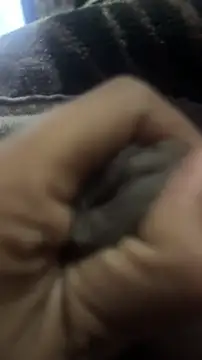 longfuckk online show from December 20, 7:32 pm