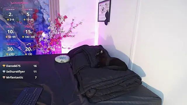 Valkiria 09 online show from December 19, 3:24 am