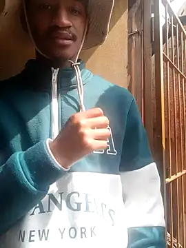 gemini loops online show from November 10, 12:15 pm