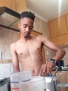 Snapshot of gemini_loops chatting on January 9, 8:17 am gemini loops online show from January 9, 8:17 am