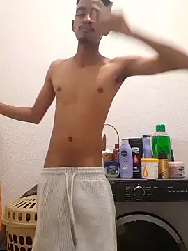 Snapshot of gemini_loops chatting on January 17, 6:22 pm gemini loops online show from January 17, 6:22 pm