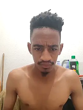 Snapshot of gemini_loops chatting on January 18, 7:06 pm gemini loops online show from January 18, 7:06 pm