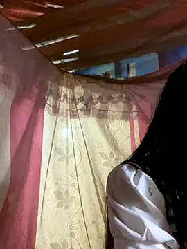 PhanHaa online show from November 23, 12:49 pm