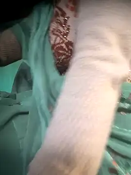 cut renukadevi online show from December 17, 1:55 am