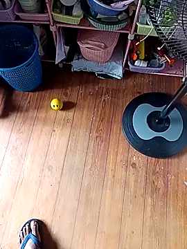 Snapshot of WholeAltimeter25 chatting on November 27, 6:15 am WholeAltimeter25 online show from November 27, 6:15 am