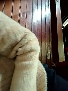 Snapshot of Sinejdk3 chatting on January 19, 9:46 am Sinejdk3 online show from January 19, 9:46 am