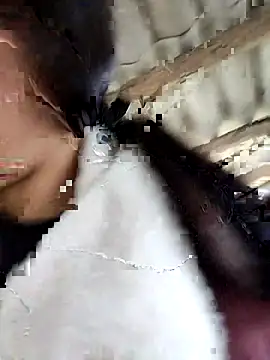 Snapshot of Sinejdk3 chatting on February 16, 9:38 am Sinejdk3 online show from February 16, 9:38 am