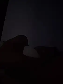 Juann-cock online show from June 2, 10:23 pm