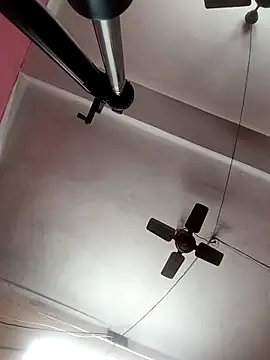 Panchi2 online show from October 8, 4:10 am