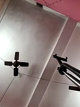 Panchi2 online show from November 3, 4:14 am