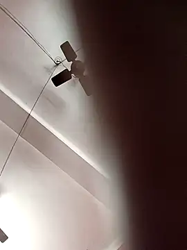 Panchi2 online show from November 4, 4:00 am