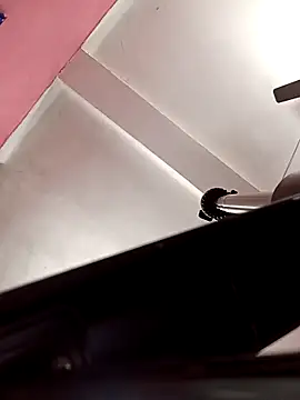 Panchi2 online show from November 12, 4:13 am