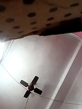 Panchi2 online show from November 13, 4:22 am