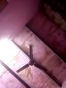 TINASONI online show from April 5, 9:17 am