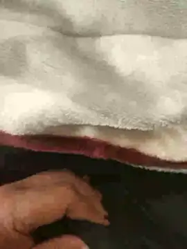 mM0140 online show from January 13, 8:30 am