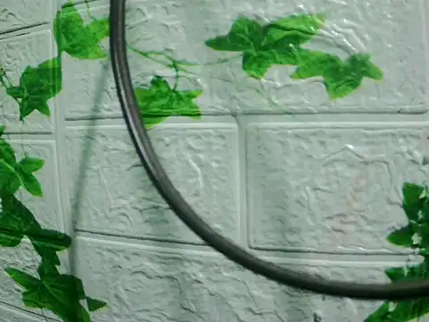 Snapshot of daros453 chatting on November 3, 2:13 am daros453 online show from November 3, 2:13 am