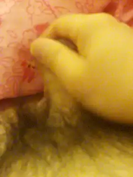 Snapshot of Hl1979 chatting on February 27, 9:04 pm Hl1979 online show from February 27, 9:04 pm