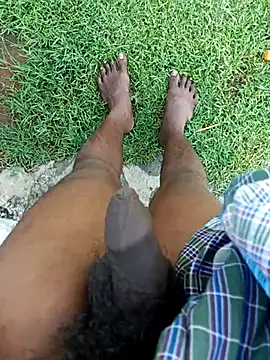 dolphiinn online show from November 7, 2:33 am