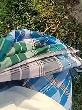 dolphiinn online show from July 7, 1:41 am
