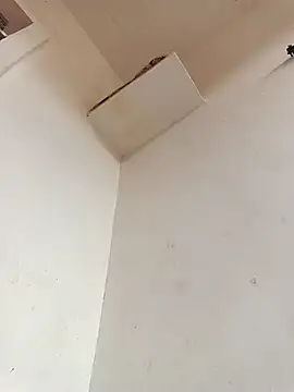 Dikchahot online show from November 11, 10:26 am