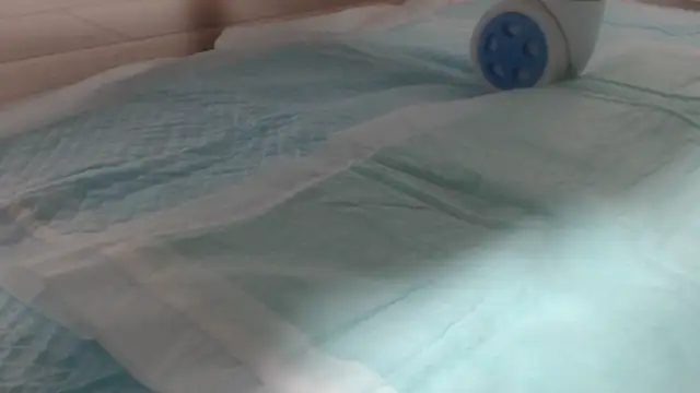 Snapshot of asuka_xoxo chatting on October 19, 8:31 pm asuka xoxo online show from October 19, 8:31 pm