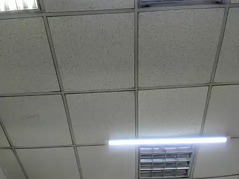 Snapshot of ScarletDoll chatting on October 24, 2:52 am ScarletDoll online show from October 24, 2:52 am