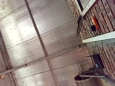 Snapshot of Fienjr chatting on March 29, 8:58 am Fienjr online show from March 29, 8:58 am