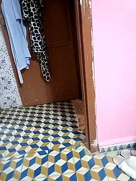 Mayamimi online show from November 8, 9:31 am