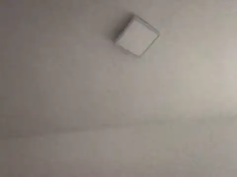 alegriadodia online show from October 8, 7:55 pm