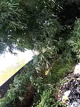 onlymasti00 online show from November 4, 8:57 am