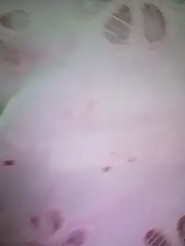 merylove-00 online show from April 15, 3:30 pm