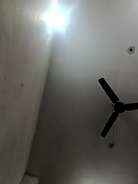 Appypie online show from December 15, 5:34 am