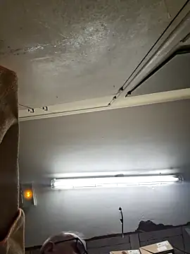 Valen tinx19cm online show from February 28, 11:22 am