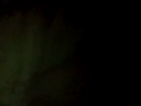 Rakhi cute online show from November 18, 6:01 pm