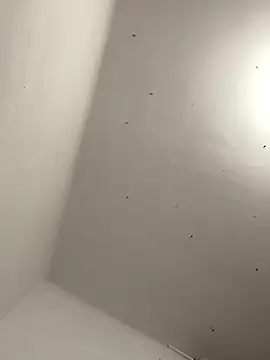 Snapshot of davidxxx099 chatting on November 22, 10:31 pm davidxxx099 online show from November 22, 10:31 pm