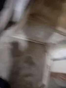 Snapshot of soyricog chatting on December 18, 12:17 am soyricog online show from December 18, 12:17 am