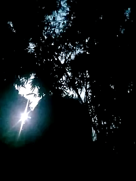 Lisa pusy online show from October 22, 10:42 pm